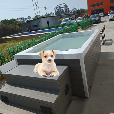 Piscina acrílica para perros para jugar en el agua